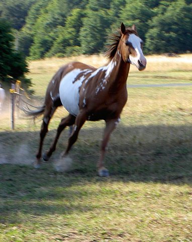 img00019.jpg